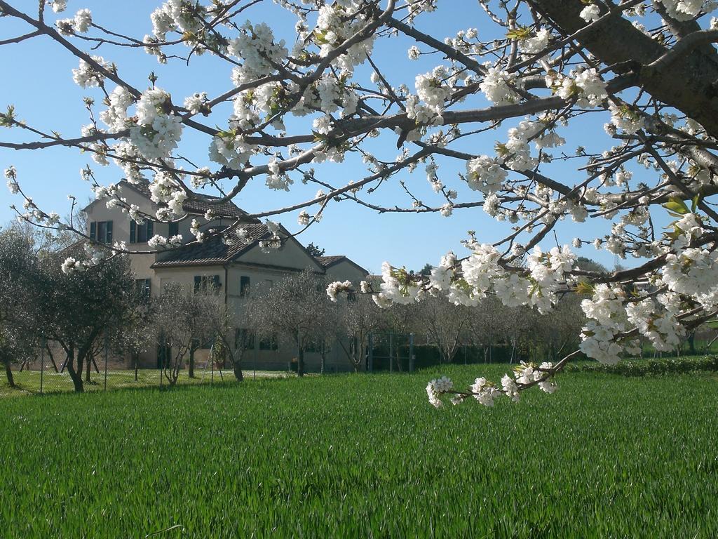 I Ciliegi Bed & Breakfast Osimo Eksteriør bilde