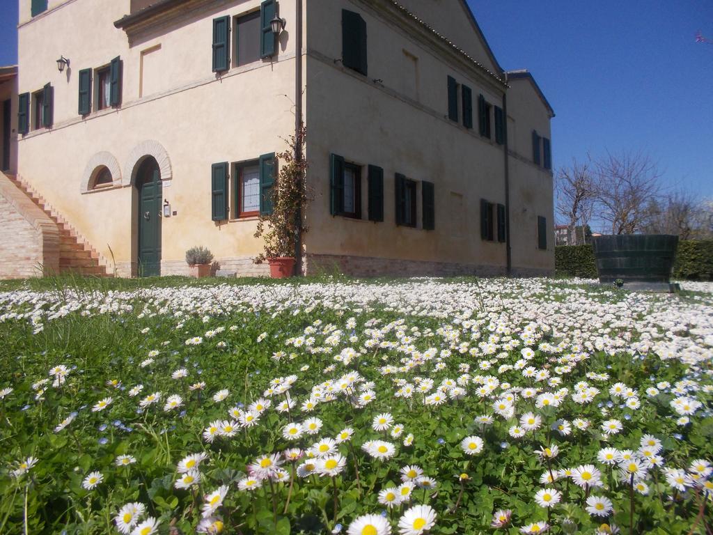 I Ciliegi Bed & Breakfast Osimo Eksteriør bilde