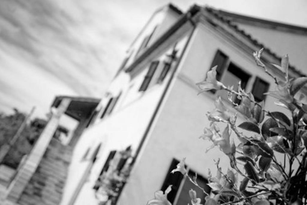 I Ciliegi Bed & Breakfast Osimo Eksteriør bilde