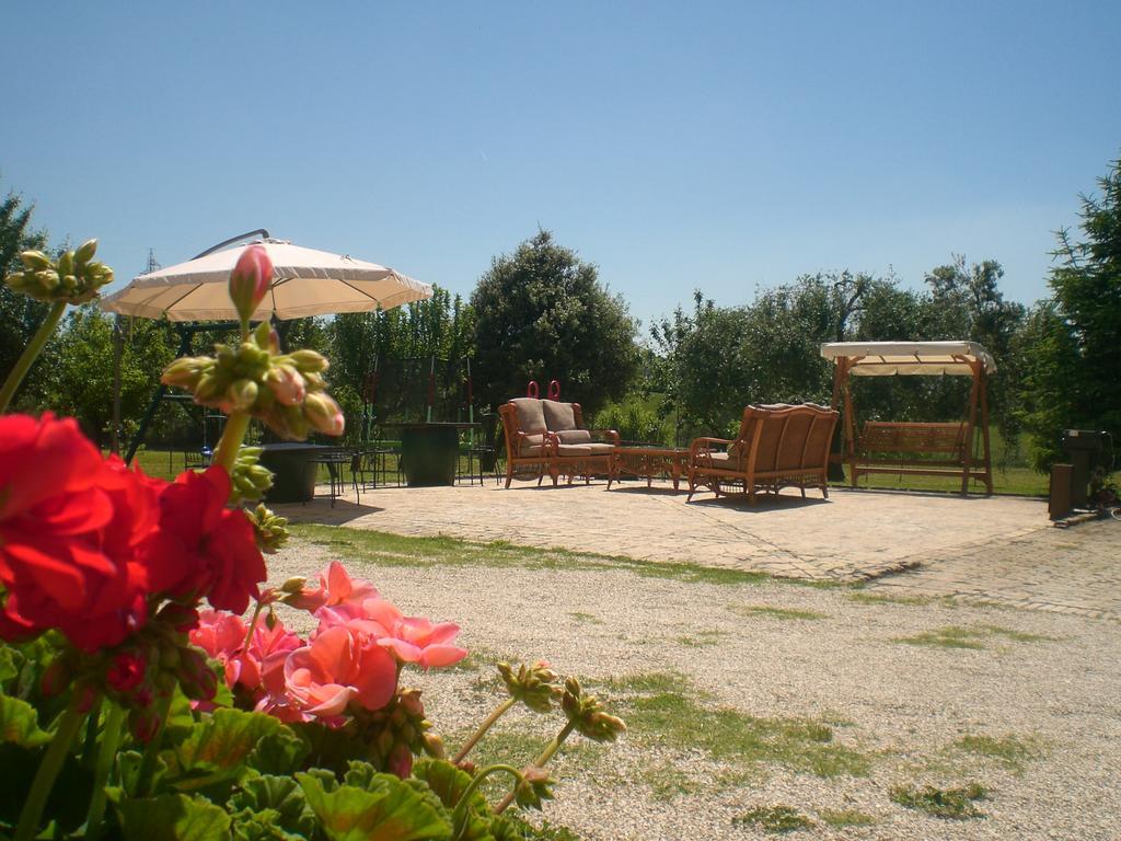 I Ciliegi Bed & Breakfast Osimo Eksteriør bilde