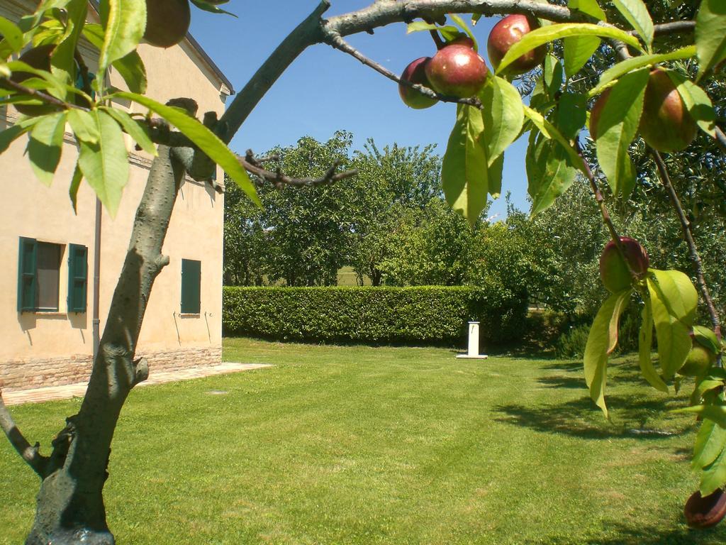 I Ciliegi Bed & Breakfast Osimo Eksteriør bilde