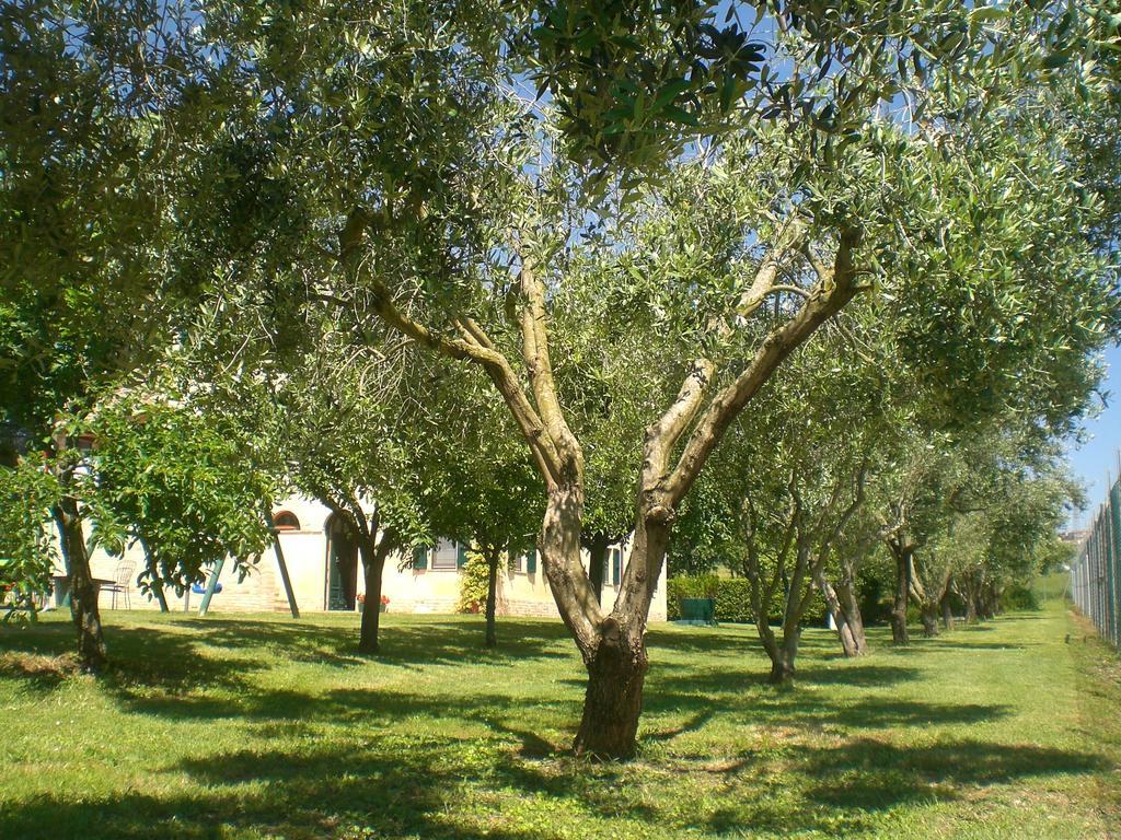 I Ciliegi Bed & Breakfast Osimo Eksteriør bilde