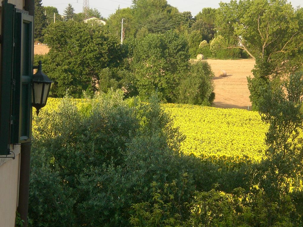 I Ciliegi Bed & Breakfast Osimo Eksteriør bilde