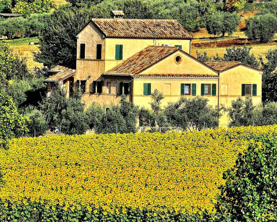 I Ciliegi Bed & Breakfast Osimo Eksteriør bilde