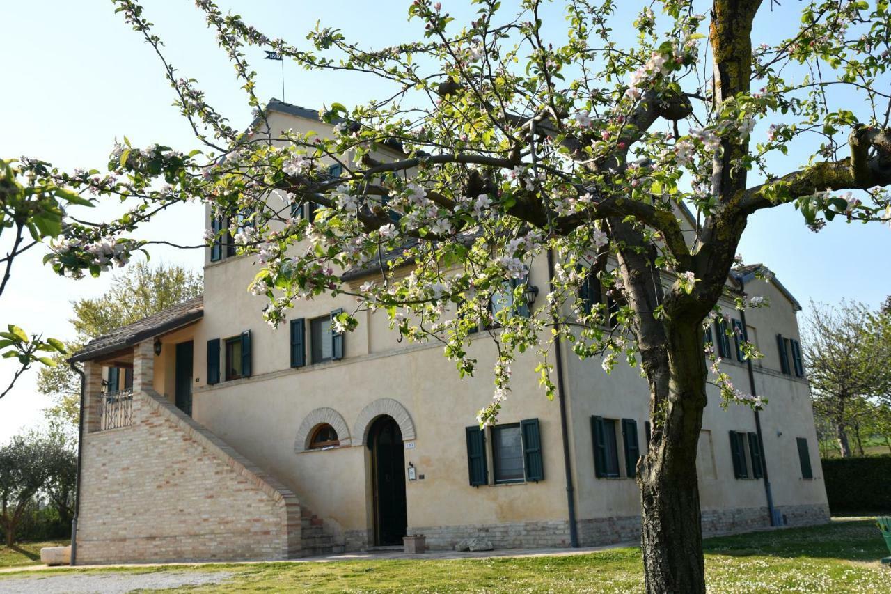I Ciliegi Bed & Breakfast Osimo Eksteriør bilde